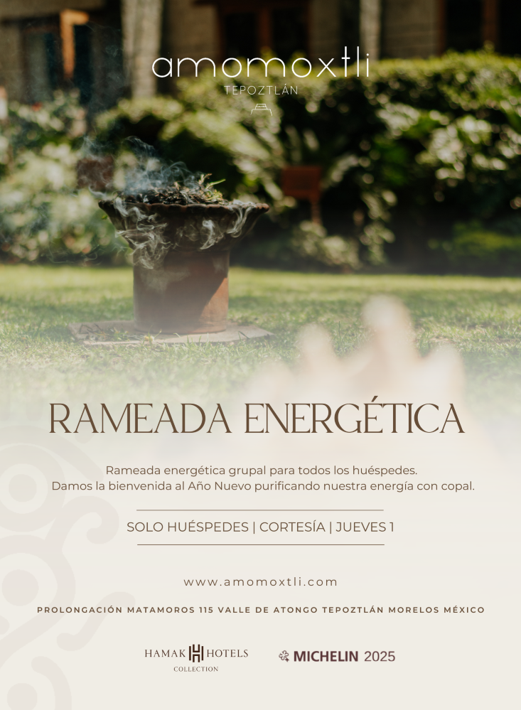 Rameada energetica (Custom)